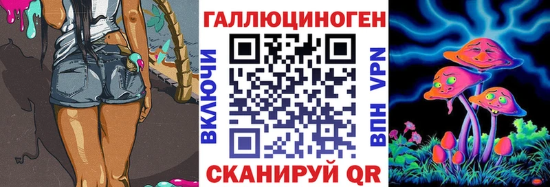 Псилоцибиновые грибы Cubensis  Курган 