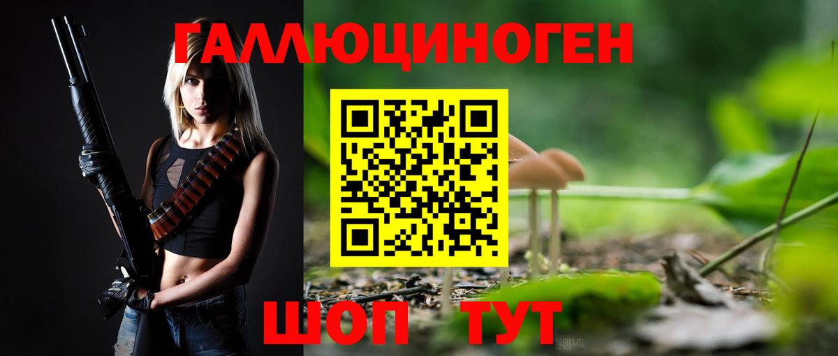 Курган  Псилоцибиновые грибы ЛСД  Псилоцибиновые грибы MAGIC MUSHROOMS  Вход с VPN 